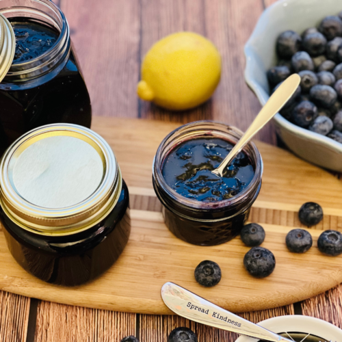 Blueberry vanilla Preserve